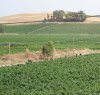 https://www.tp24.it/immagini_articoli/05-02-2018/1517835026-0-marsala-vino-soluzione-valorizzare-lattivita-viticoltori.png