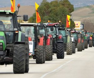https://www.tp24.it/immagini_articoli/05-02-2024/1707099903-0-non-si-fermano-le-nbsp-proteste-nbsp-degli-agricoltori-siciliani-oggi-nuovo-incontro-a-petrosino.jpg