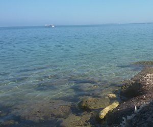 https://www.tp24.it/immagini_articoli/05-03-2017/1488723726-0-scrive-andrea-perche-a-marsala-non-si-pulisce-piu-la-spiaggia-di-punta-d-alga.jpg