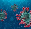 https://www.tp24.it/immagini_articoli/05-03-2020/1583443116-0-principali-differenze-linfluenza-coronavirus-covid19.jpg