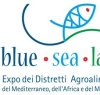 https://www.tp24.it/immagini_articoli/05-10-2016/1475645429-0-al-via-oggi-a-mazara-blue-sea-land-l-expo-della-pesca-del-mediterraneo.jpg