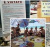 https://www.tp24.it/immagini_articoli/06-08-2023/1691300802-0-nbsp-know-your-rights-at-the-beach-food-and-beverage-freedom.jpg