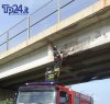 https://www.tp24.it/immagini_articoli/06-11-2016/1478457740-0-marsala-e-il-ponte-sullo-scorrimento-veloce-per-i-vigili-del-fuoco-e-pericoloso.jpg