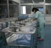 https://www.tp24.it/immagini_articoli/07-03-2014/1394230064-0-trapani-un-milione-di-euro-per-il-punto-nascite-dell-ospedale.jpg