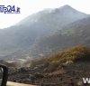 https://www.tp24.it/immagini_articoli/07-04-2017/1491541553-0-ad-un-anno-dall-incendio-10000-alberi-per-pantelleria.jpg