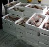 https://www.tp24.it/immagini_articoli/07-04-2018/1523083974-0-mercato-pesce-clandestino-sequestri-trapani.jpg