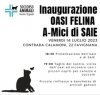 https://www.tp24.it/immagini_articoli/07-07-2023/1688757450-0-a-favignana-la-prima-oasi-felina-in-sicilia.jpg
