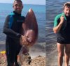 https://www.tp24.it/immagini_articoli/07-08-2019/1565162912-0-calamaro-gigante-pescato-mazara-vallo.jpg