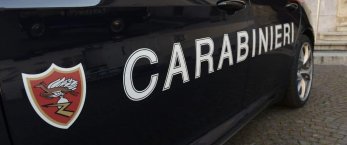 https://www.tp24.it/immagini_articoli/07-10-2019/1570447505-0-mazara-cane-difficolta-ss115-soccorso-carabinieri-automobilisti.jpg