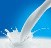 https://www.tp24.it/immagini_articoli/07-12-2014/1417975794-0-marsala-protestano-gli-allevatori-della-sicilia-occidentale-per-il-prezzo-del-latte.jpg