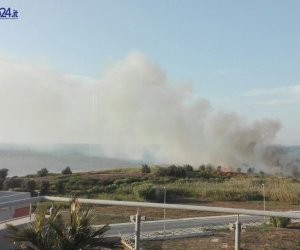 https://www.tp24.it/immagini_articoli/08-08-2017/1502215970-0-marsala-incendio-rifiuti-salinella.jpg