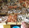 https://www.tp24.it/immagini_articoli/08-09-2016/1473333153-0-trapani-lotta-al-commercio-abusivo-sequestrati-75-kg-di-pesce-al-mercato-ittico.jpg