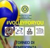 https://www.tp24.it/immagini_articoli/09-04-2017/1491691380-0-trapani-torneo-di-beneficenza-volleyforyou-le-squadre-partecipanti-e-l-organizzazione.jpg