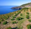https://www.tp24.it/immagini_articoli/09-04-2018/1523295278-0-nominato-consiglio-direttivo-parco-nazionale-isola-pantelleria.jpg