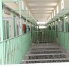 https://www.tp24.it/immagini_articoli/09-10-2016/1476022672-0-carcere-di-trapani-arrivano-35-poliziotti-in-piu.jpg