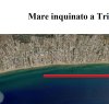 https://www.tp24.it/immagini_articoli/10-06-2021/1623348216-0-mare-inquinato-a-triscina-divieto-di-balneazione-in-tre-quarti-di-litorale.jpg
