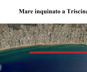 https://www.tp24.it/immagini_articoli/10-06-2021/1623348216-0-mare-inquinato-a-triscina-divieto-di-balneazione-in-tre-quarti-di-litorale.jpg