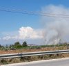 https://www.tp24.it/immagini_articoli/10-07-2018/1531231089-0-marsala-vasto-incendio-corso-campagne-birgi.jpg
