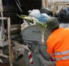 https://www.tp24.it/immagini_articoli/10-12-2013/1386673493-0-rifiuti-raccolta-bloccata-a-mazara-e-nel-belice-scioperano-i-lavoratori.jpg