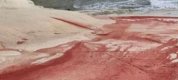 https://www.tp24.it/immagini_articoli/11-01-2022/1641856255-0-nbsp-sulla-scala-dei-turchi-e-il-sangue-in-polvere.jpg