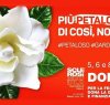 https://www.tp24.it/immagini_articoli/11-02-2017/1486825845-0-la-gardenia-di-aism-2017-torna-in-piazza-la-sezione-di-trapani-cerca-volontari.jpg