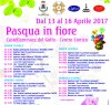 https://www.tp24.it/immagini_articoli/11-04-2017/1491936493-0-castellammare-pasqua-in-fiore-tra-gli-stand-della-zona-pedonale.jpg