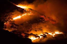 https://www.tp24.it/immagini_articoli/11-08-2021/1628706710-0-sicilia-non-e-il-solito-caldo-incendi-la-situazione-nbsp.jpg