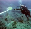 https://www.tp24.it/immagini_articoli/11-09-2016/1473617015-0-un-gruppo-di-subacquei-ecco-chi-ha-scoperto-lo-sbarramento-spagnolo-a-marsala.jpg