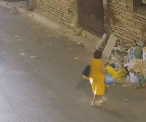 https://www.tp24.it/immagini_articoli/11-10-2023/1697022959-0-trapani-in-50-beccati-ad-abbandonare-rifiuti-in-strada-il-video.jpg