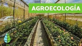 https://www.tp24.it/immagini_articoli/12-01-2021/1610455709-0-nbsp-un-futuro-bio-per-l-agroecologia-in-sicilia.jpg