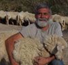 https://www.tp24.it/immagini_articoli/12-05-2014/1399905114-0-meditazioneio-sono-la-porta-delle-pecore.jpg