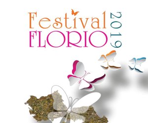 https://www.tp24.it/immagini_articoli/12-06-2019/1560351466-0-favignana-domenica-favignana-edizione-festival-florio.jpg