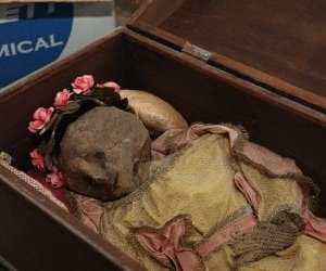 https://www.tp24.it/immagini_articoli/12-12-2017/1513077140-0-palermo-trovata-bambina-mummificata-cimitero.jpg