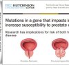 https://www.tp24.it/immagini_articoli/13-09-2013/1379491771-1-scoperta-mutazione-genetica-legata-a-cancro-prostata.jpg
