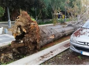https://www.tp24.it/immagini_articoli/13-11-2019/1573656678-0-danni-maltempo-mazara-petrosino-scompare-spiaggia-leone.jpg