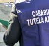https://www.tp24.it/immagini_articoli/14-06-2020/1592100867-0-rifiuti-il-traffico-rifiuti-in-italia-vale-20-miliardi-di-euro.jpg