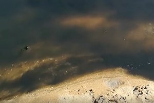 https://www.tp24.it/immagini_articoli/14-06-2021/1623707077-0-se-questo-e-un-fiume-il-mistero-dell-inquinamento-lampo-a-triscina.jpg