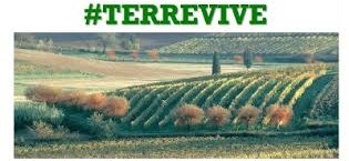 https://www.tp24.it/immagini_articoli/14-08-2015/1439526247-0-terreni-agricoli-dello-stato-in-sicilia-on-line-il-bando-per-la-vendita.jpg
