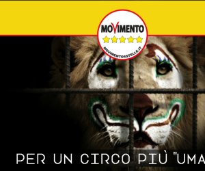https://www.tp24.it/immagini_articoli/14-10-2016/1476459981-0-alcamo-c-e-il-circo-e-scoppia-la-polemica-il-m5s-in-campagna-elettorale-voleva-stopparli.png