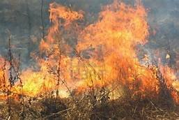 https://www.tp24.it/immagini_articoli/14-10-2019/1571076053-0-campobello-hanno-cercato-salvare-giuseppe-bono-dalle-fiamme-loro-lencomio.jpg