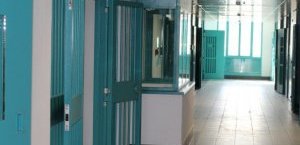 https://www.tp24.it/immagini_articoli/14-12-2019/1576330350-0-carcere-trapani-detenuto-pugno-poliziotto.jpg
