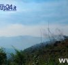 https://www.tp24.it/immagini_articoli/15-05-2017/1494824094-0-primo-caldo-primi-incendi-colpito-ieri-il-bosco-di-calatafimi-segesta.jpg