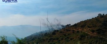 https://www.tp24.it/immagini_articoli/15-05-2017/1494824094-0-primo-caldo-primi-incendi-colpito-ieri-il-bosco-di-calatafimi-segesta.jpg