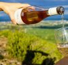 https://www.tp24.it/immagini_articoli/15-05-2023/1684169435-0-assovini-sicilia-promuove-l-isola-a-wine-destination-di-eccellenza.jpg