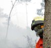 https://www.tp24.it/immagini_articoli/15-07-2015/1436971568-0-i-sindaci-del-trapanese-assumete-subito-i-forestali-del-servizio-antincendio.jpg