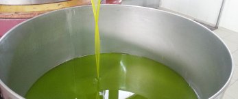 https://www.tp24.it/immagini_articoli/15-11-2016/1479219878-0-sabato-a-campobello-un-convegno-sull-olio-extra-vergine-d-oliva.jpg