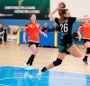 https://www.tp24.it/immagini_articoli/16-01-2022/1642352847-0-pallamano-serie-a-l-handball-erice-torna-alla-vittoria-nbsp.jpg