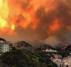 https://www.tp24.it/immagini_articoli/16-04-2024/1713248396-0-sicilia-lotta-agli-incendi-nbsp-va-deserta-la-gara-della-regione-per-noleggiare-due-elicotteri.jpg