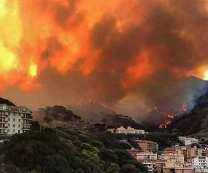 https://www.tp24.it/immagini_articoli/16-04-2024/1713248396-0-sicilia-lotta-agli-incendi-nbsp-va-deserta-la-gara-della-regione-per-noleggiare-due-elicotteri.jpg