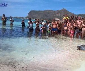 https://www.tp24.it/immagini_articoli/16-05-2017/1494942104-0-favignana-e-tornata-in-mare-la-tartaruga-vito-ecco-la-sua-storia.jpg